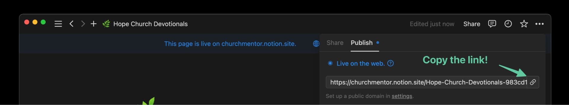 alt text